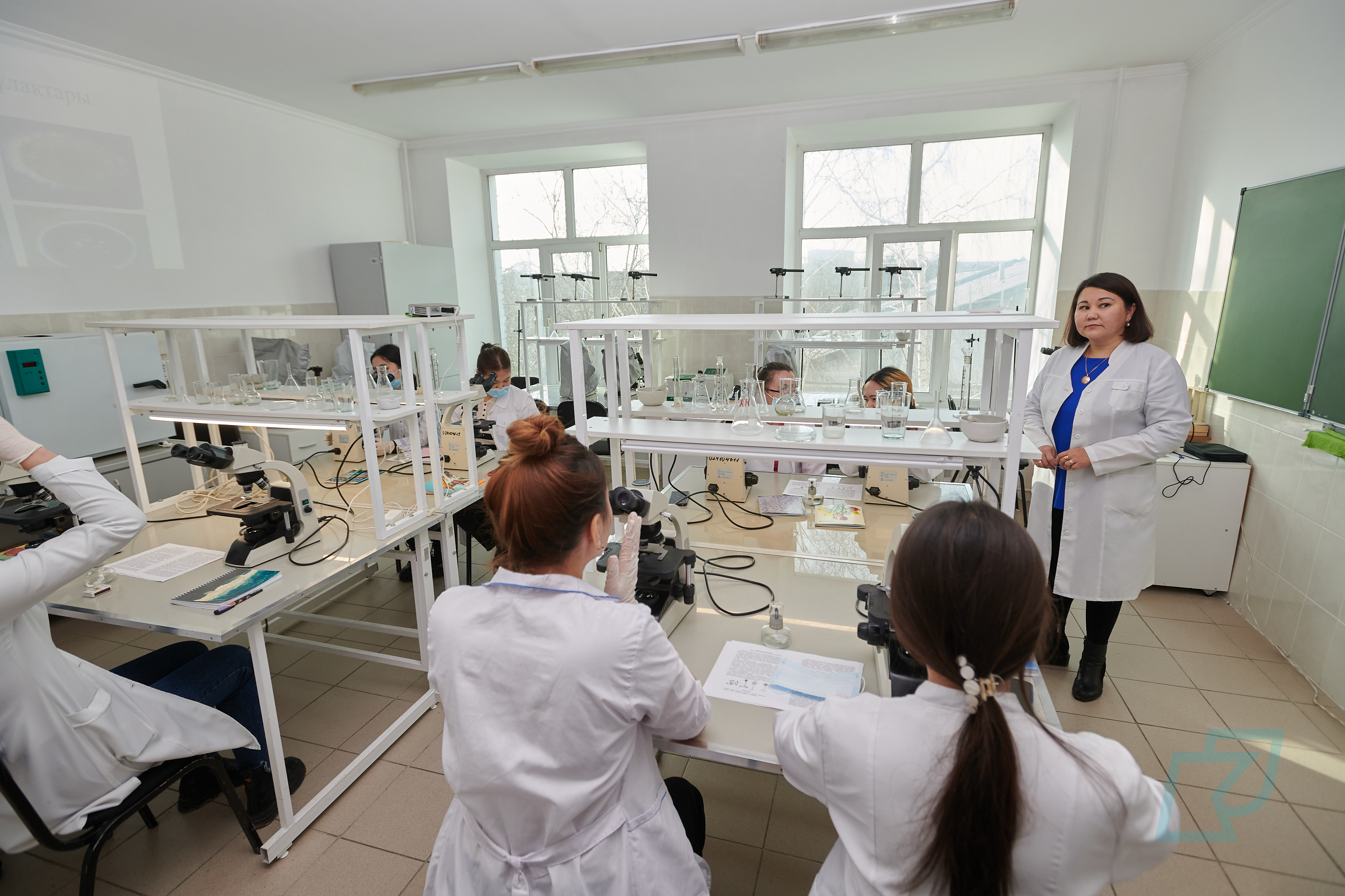 Факультет математики и естественных наук